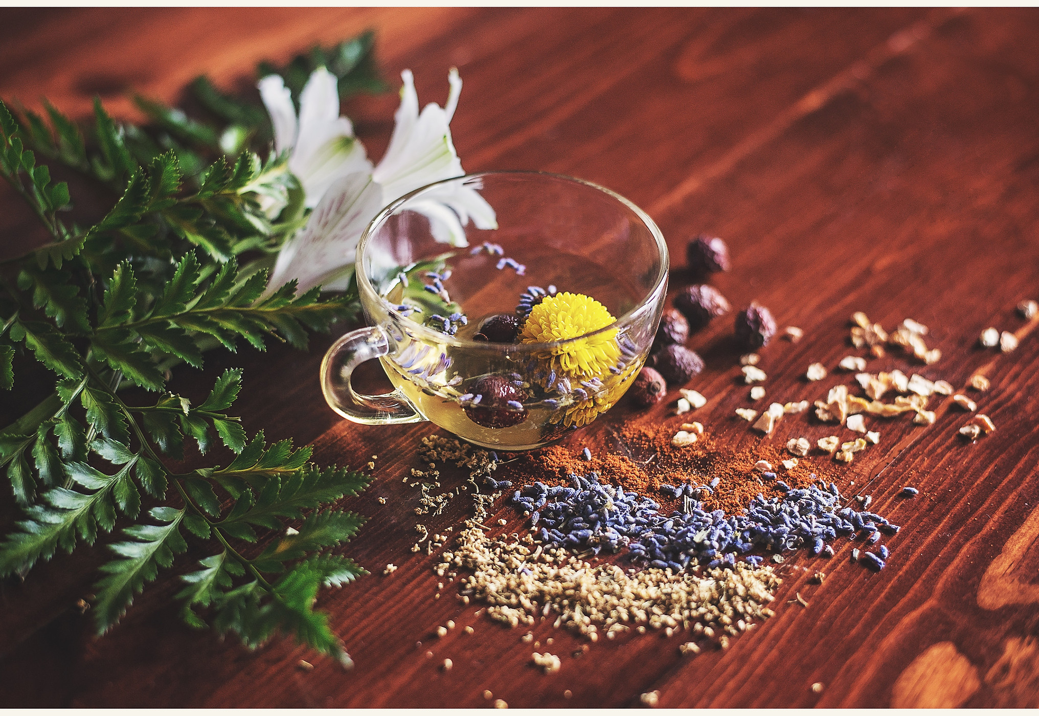 Botanicals and herbs slow-infused by hand